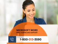 Microsoft Word Free Download Support image 3